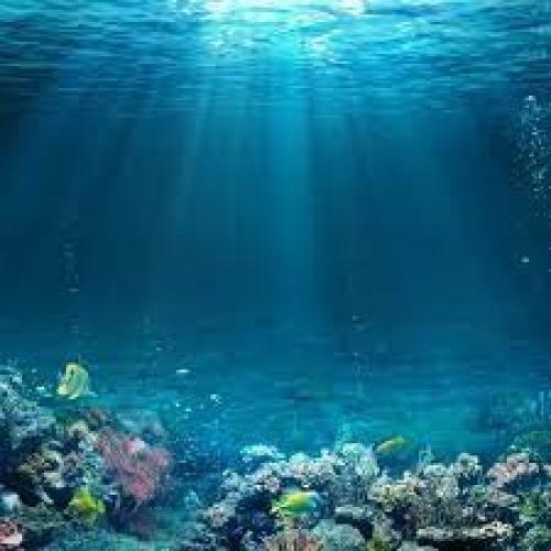 (Học tập ngoại ngữ) [Vocabulary] Ocean